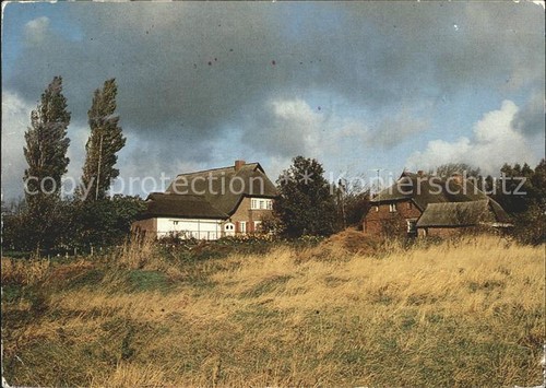 Ahrenshoop ostseebad haeuser - ahrenshoop,