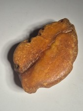 großer seltener Baltischer