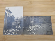 2x orig. Foto AKs eines