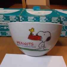 Peanuts Snoopy Woodstock