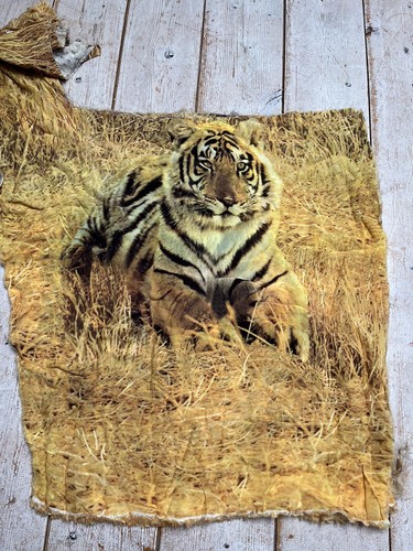 Stoff rest tiger savanne - rest,