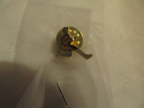 Pin dhl paketzusteller - pin,