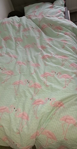 Flamingo 155 220 - decke, kissen