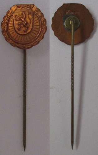 Seltene anstecknadel - seltene,