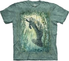 The Mountain T-Shirt Sunlit