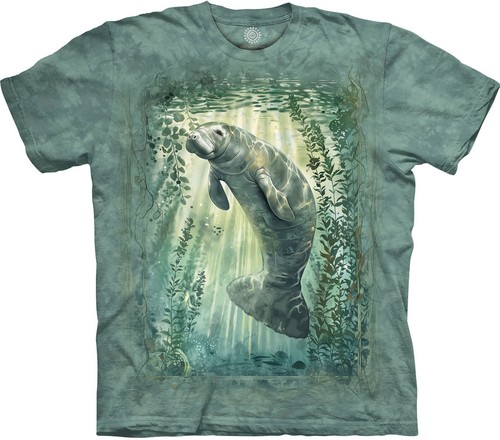 The mountain shirt sunlit - t-shirt,