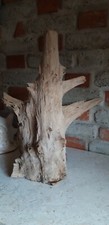 Teak Wurzelholz Skulptur Asia