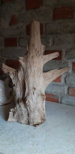 Teak wurzelholz skulptur - wurzelholz,