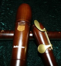 Rattenfänger! Mollenhauer