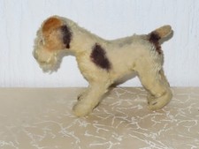 Tier hund terrier - tier,