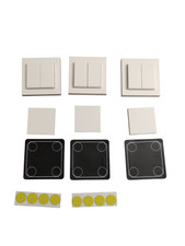 GIRA Senic Friends of Hue