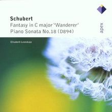 Wanderer-Fantasie/Klaviersonat