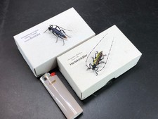 2 Lauscha Glaskäfer