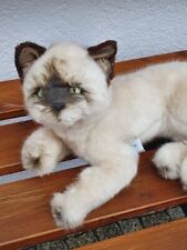 PIUTRE PLÜSCHTIER KATZE AUS ITALIEN FÜR ANNETTE HIMSTEDT PUPPE ALS DEKO HANDMADE