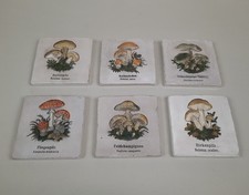 6 alte Kacheln Fliesen mit Pilz Motiven Fliegenpilz Keramik Relief Küchen Deko