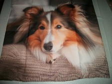 Kissenbezug 40 x 40 mit Motiv Hund Sheltie