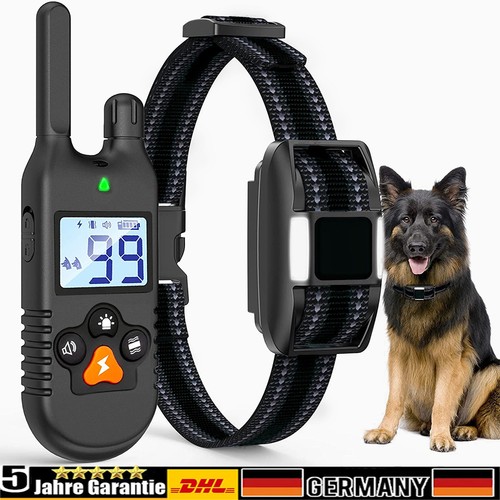 1000m elektroschock pet - elektroschock, dog