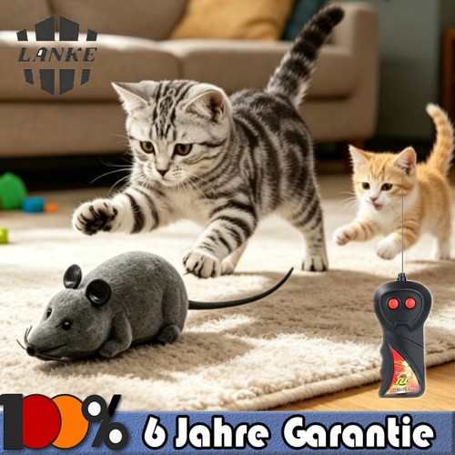 Elektrische ferngesteuerte - rc,