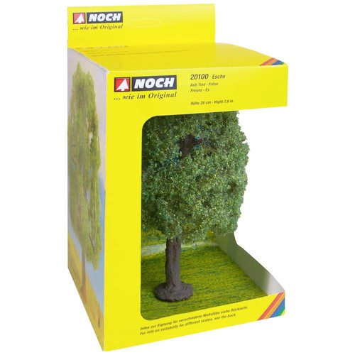 Noch 20100 baum esche - noch, 1