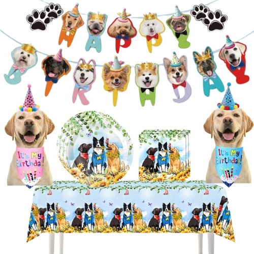 Hund katze haustier happy - hund,