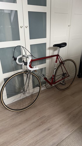 Colnago super rennrad - super,