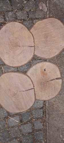 Holzscheibe eiche tolle - eiche, optik