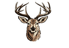 Hirschkopf Jagd und Natur