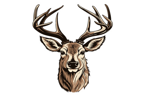 Hirschkopf jagd und - und, natur
