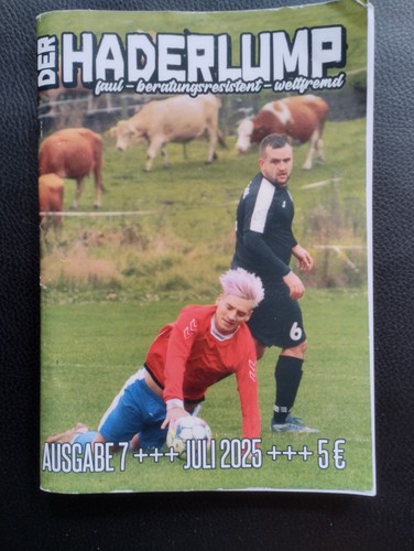 Chemnitzer hopperzine 07 - chemnitzer, fc