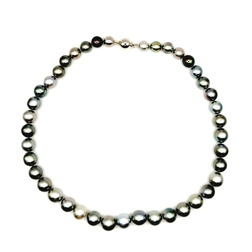 Tahitizuchtperlenkette collier - tahitizuchtperlenkette,