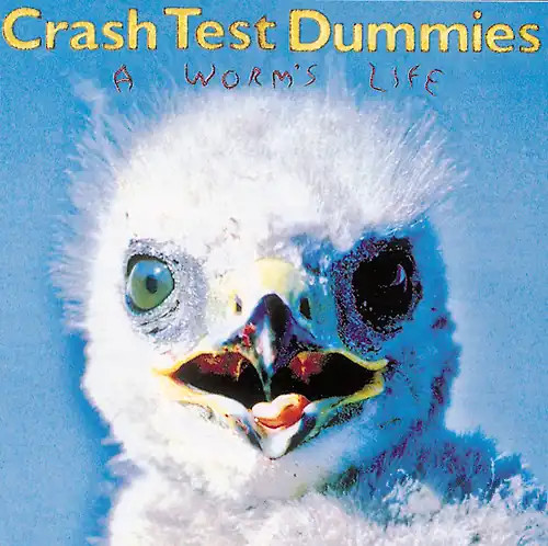 Crash test dummies - dummies, a