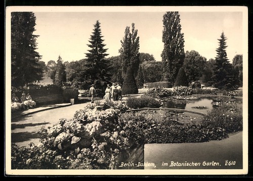 Berlin dahlem botanischer - berlin-dahlem,,