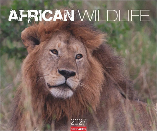 African wildlife kalender - kalender, 2027