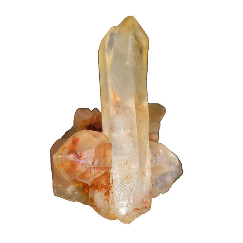 Tangerine lemurian gruppe - tangerine,