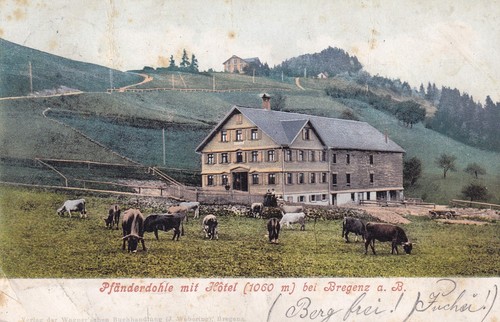 Postkarte pfänderdohle mit - -,