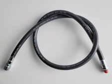 SONDERPREIS - Northern Diver -