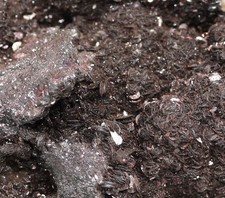 Hämatit, Quarz, Peter & Paul -Schneeberg, 220 g, 9 cm , alte Sammlung (10-95)