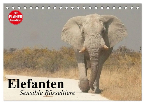 Elefanten sensible - elefanten.,