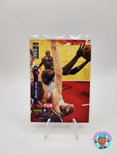 Michael Jordan, Upper Deck Fun Facts, NBA Trading Card Rare Item 169, 94-95