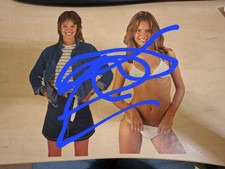 DESIREE  NOSBUSCH  SAMMLUNG Zeitungsartikel aus Bravo u.ä.