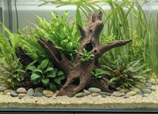 Aquarium Terrarium Driftwood