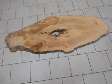 PLANTANE PLANTANEN BRETT HOLZ BAUM STAMM BAUMSCHEIBE 1800x720x50mm (B7927)