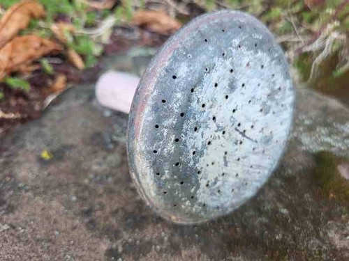 Tülle für rosenkanne - tülle,