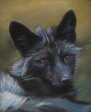 Fuchs POLAR FOX Zeichnung