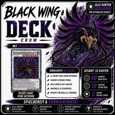 Yu-Gi-Oh 5D’s Crow