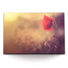 120x80cm Wandbild auf Leinwand