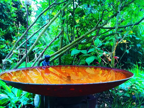 Echt edelrost design - edelrost,