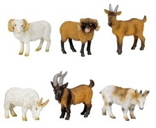 Stück ziegen ziege bock - 6,