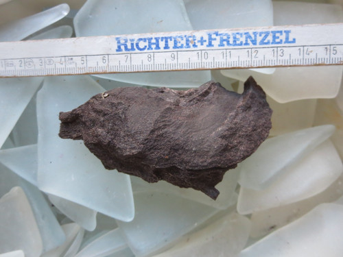 Fossiles verkieseltes holz - fossiles,