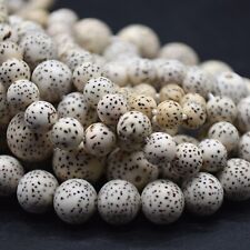 Natürliche Lotus kleine Bodhi